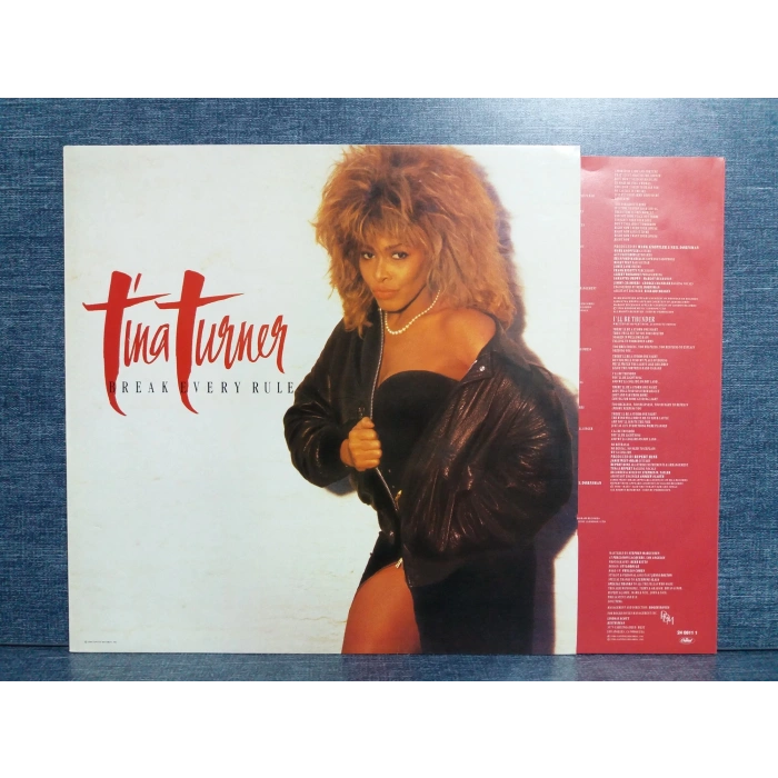 TINA TURNER BREAK EVERLY RULE LP