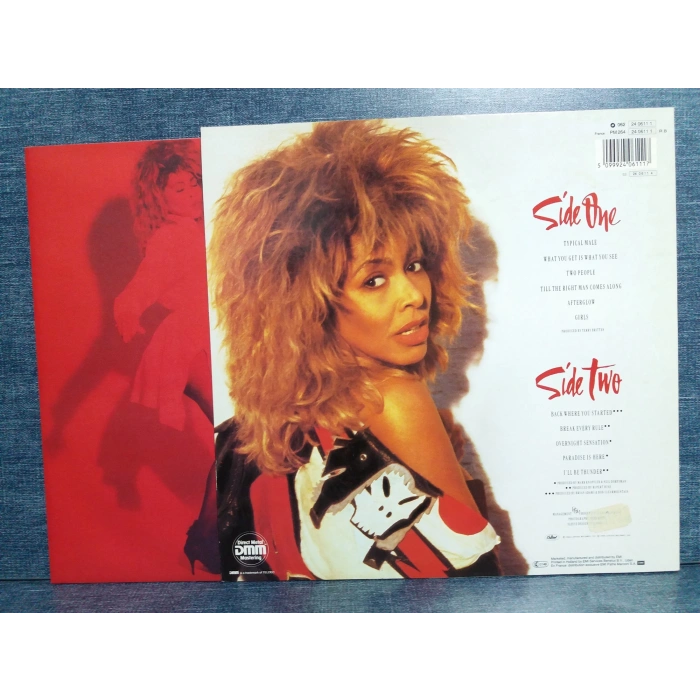 TINA TURNER BREAK EVERLY RULE LP