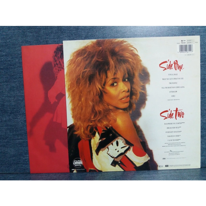 TINA TURNER BREAK EVERLY RULE LP