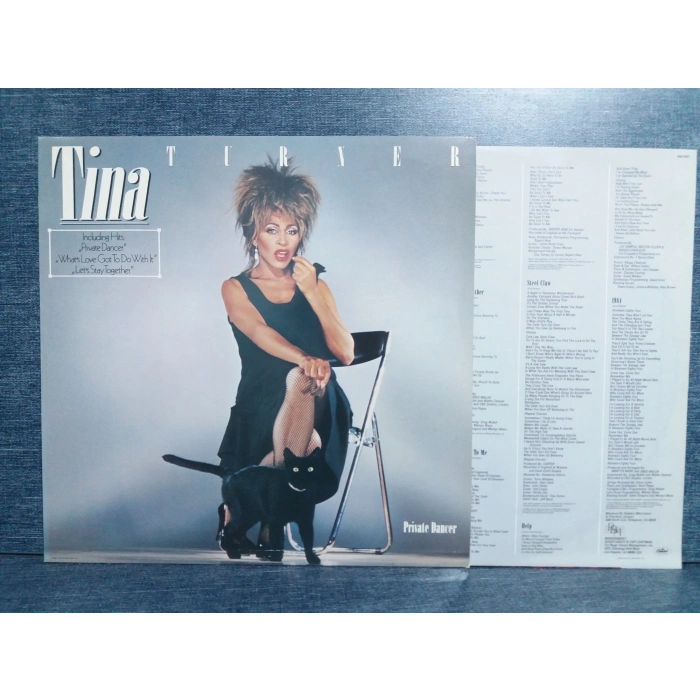 TINA TURNER PRIVATE DANCER MUSIC LP ALBUM