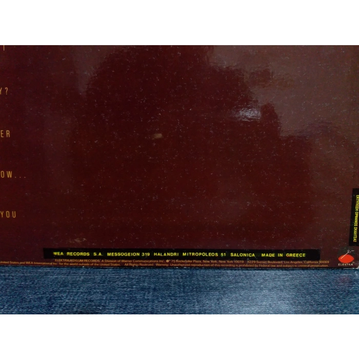 TRACY CHAPMAN SAME  LP (YUNAN BASIM)