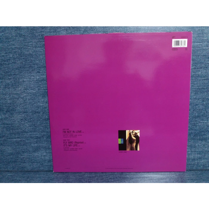 WILL TO POWER IM NOT IN LOVE MAXI LP