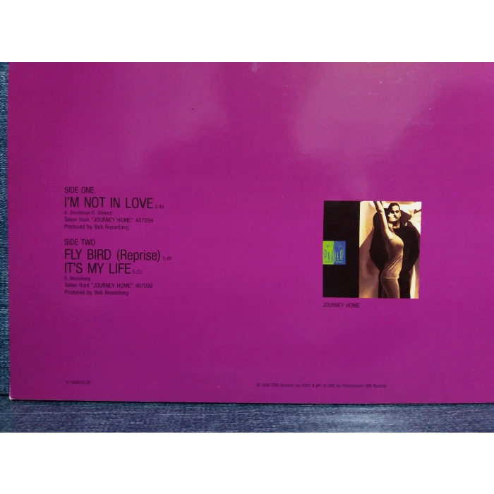 WILL TO POWER IM NOT IN LOVE MAXI LP