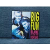 BIG FUN BLAME IT ON THE BOOGIE
