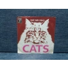 CATS ONE WAY WIND