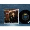 DAVID HALLYDAY MOVE  ( POSTER KAPAK )