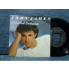 JOHN JAMES PAINTED DREAMS