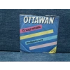 OTTAWAN CRAZY MUSIC SHUBIDUBE LOVE