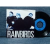 RAINBIRDS BLUE PRINT