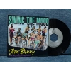 SWING THE MOOD JIVE BUNNY MIX