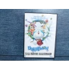 DORAEMON TAŞ DEVRİ MACERASI DVD FİLM