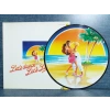 LETS DANCE LETS LAMBADA ( PICTURE DISK ) LP