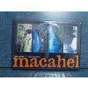 MAÇAHEL SAKLI CENNET DVD FİLM
