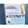 PENGUEN İMPARATORUN YOLCULUĞU DVD FİLM