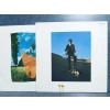 PINK FLOYD WISH YOU WERE HERE MUSIC LP