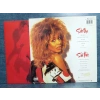 TINA TURNER BREAK EVERLY RULE LP