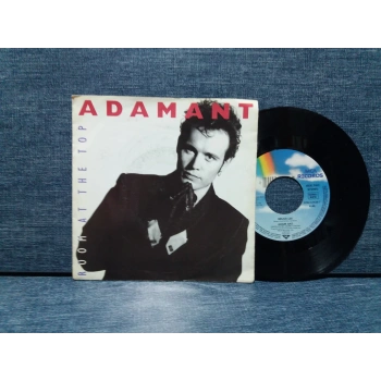 ADAM ANT ROOM AT THE TOP