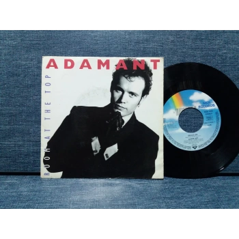 ADAM ANT ROOM AT THE TOP