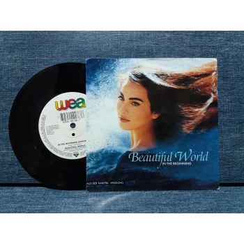 BEAUTIFUL WORLD IN THE BEGINNING