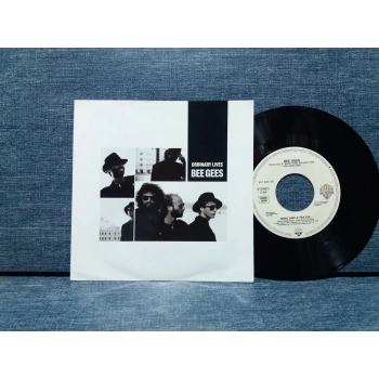 BEE GEES ORDINARY LIVES