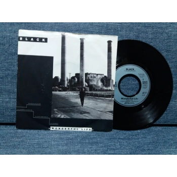 BLACK   WONDERFUL LIFE