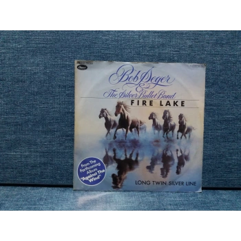 BOB SEGER FIRE LAKE LONG TWIN