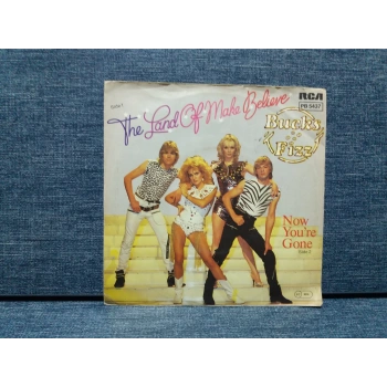 BUCKS FIZZ MAKING YOUR MIND UP  GONE