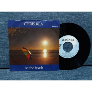 CHRIS REA ON THE BEACH