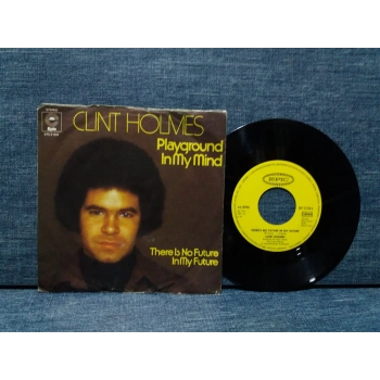 CLINT HOLMES PLAYGROUND