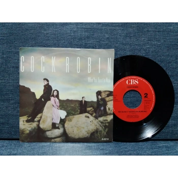 COCK ROBIN THOUGHT YOU WERE ON MY SIDE