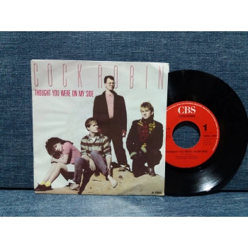 COCK ROBIN THOUGHT YOU WERE ON MY SIDE