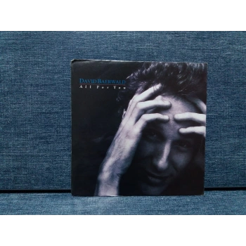 DAVID BAERWALD ALL FOR YOU