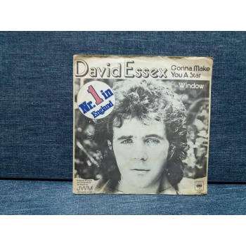 DAVID ESSEX GONNA MAKE YOU A STAR - WINDOW
