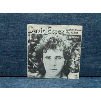 DAVID ESSEX GONNA MAKE YOU A STAR - WINDOW