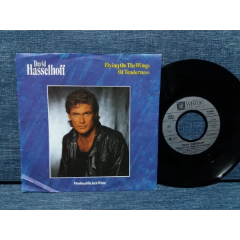 DAVID HASSELHOFF FLYING