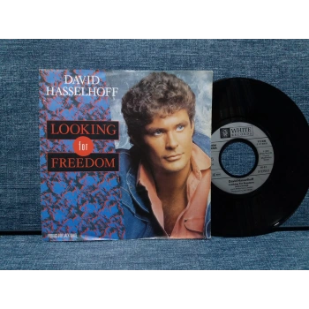 DAVID HASSELHOFF LOOKING FOR FREEDOM