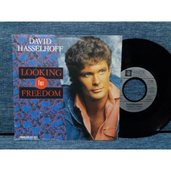 DAVID HASSELHOFF LOOKING FOR FREEDOM
