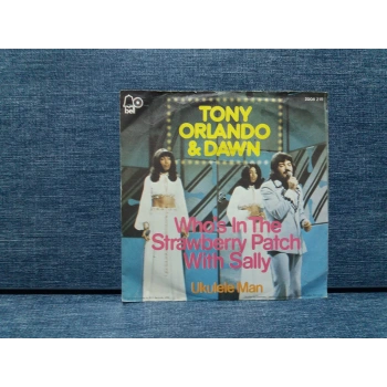 DAWN FEAT TONY ORLANDO STRAWBERRY PATCH