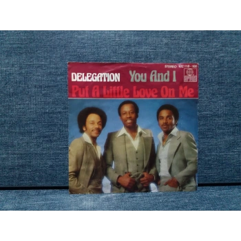 DELEGATION YOU AND I