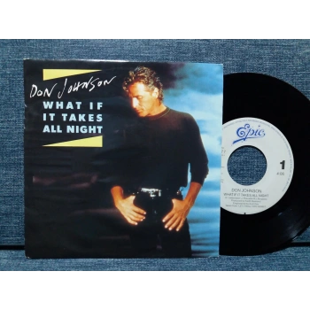 DON JOHNSON WHAT IF TAKES ALL NIGHT