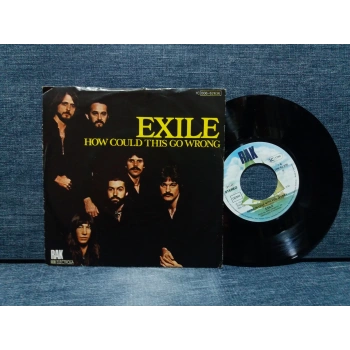 EXILE HOW COULD THIS GO WRONG