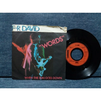 F-R DAVID WORDS WHEN THE SUN GOES DOWN