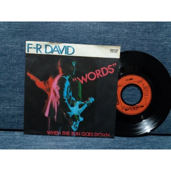 F-R DAVID WORDS WHEN THE SUN GOES DOWN