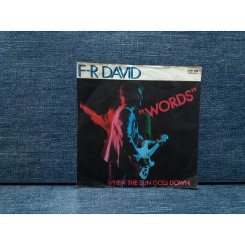 F-R DAVID WORDS WHEN THE SUN GOES DOWN