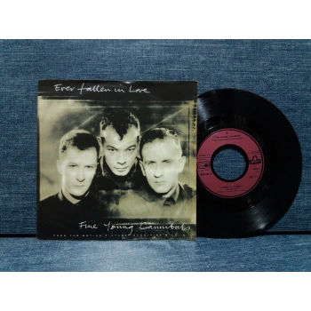 FINE YOUNG CANNIBALS FALLEN IN LOVE