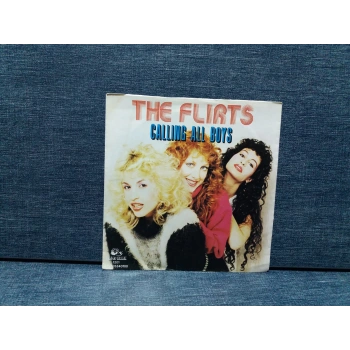 FLIRTS CALLING ALL BOYS - WE JUST WANNA DANCE