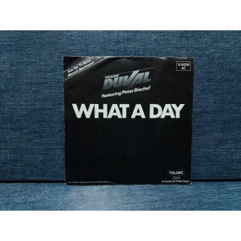 FRANK DUVAL WHAT A DAY