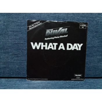 FRANK DUVAL WHAT A DAY