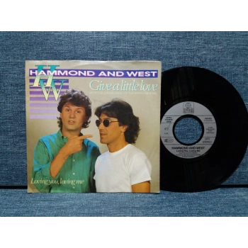 HAMMOND WEST GIVE A LITTLE LOVE