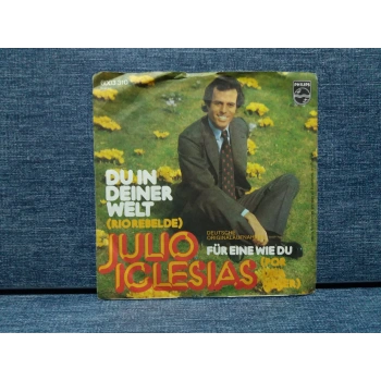 JULIO IGLESIAS DU IN DEINER